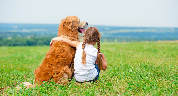 The store nanny breed